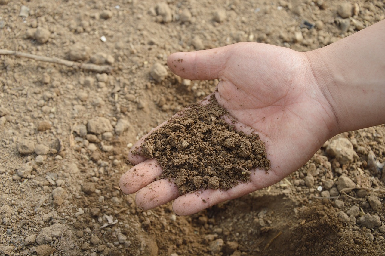 loamy soil image