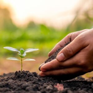 Image of soil with hand on how to make nutrient rich soil.